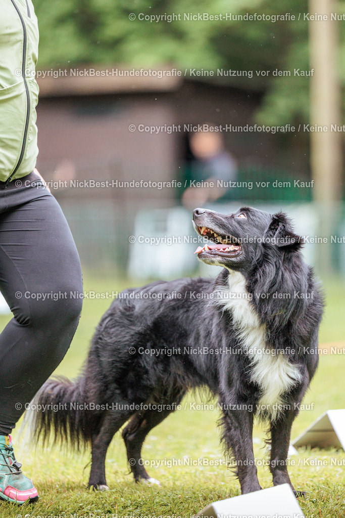RO-Blumenthal-2026-Nickbest-Hundefotografie-3911 | Dein Hund! Dein Moment! Deine Erinnerungen! Hundefotografie in Bremen Blumenthal. Ich fange die besonderen Momente deines Vierbeiners ein – ob Indoor mit Blitzanlage oder in der freien Natur. Sicher dir dein Moment und dein Termin für eure Erinnerungen.