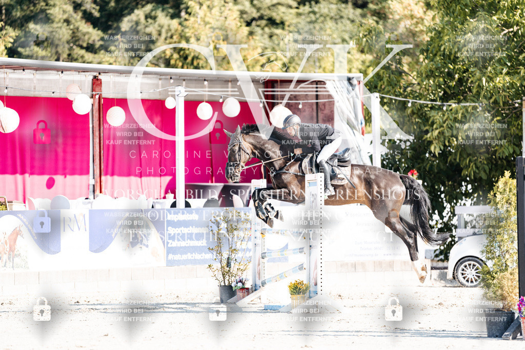 CK901899 | Turnierfotografie Pferdefotografie Trier Rheinland-Pfalz Pferdesport Reitsport Tierfotografie Sportfotografie Pferdevideo Pferdevideografie Equestrianvideography equestrianphotography  - Realisiert mit Pictrs.com