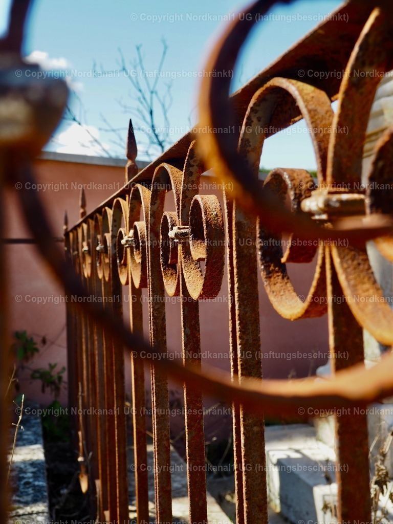 IMG_2863 | OLYMPUS DIGITAL CAMERA          - Realisiert mit Pictrs.com