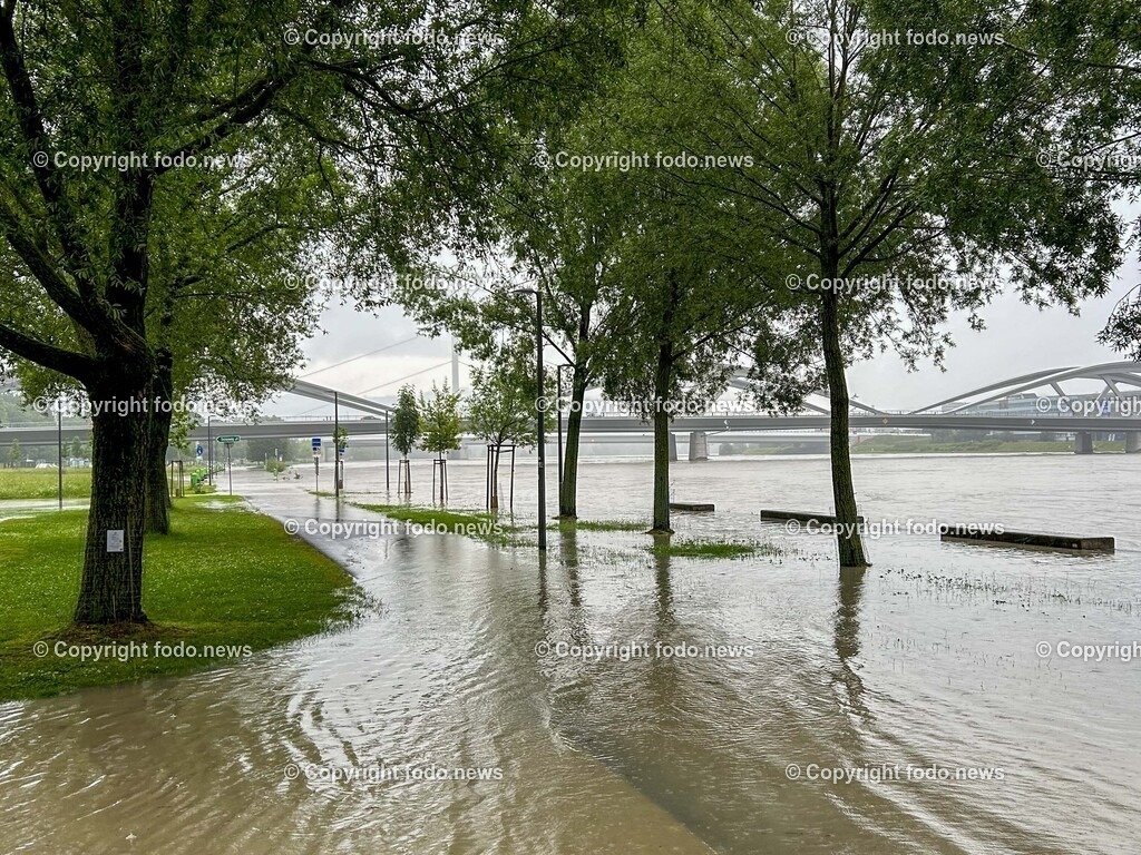 Linz_ Urfahr_ Hochwasser_ Donau_ 04.06.2024-3 | 04.06.2024, Linz, AUT, Urfahr, Hochwasser, im Bild Donau, Donaulaende Linz Urfahr, Urfahranerjahrmarktgelaende
