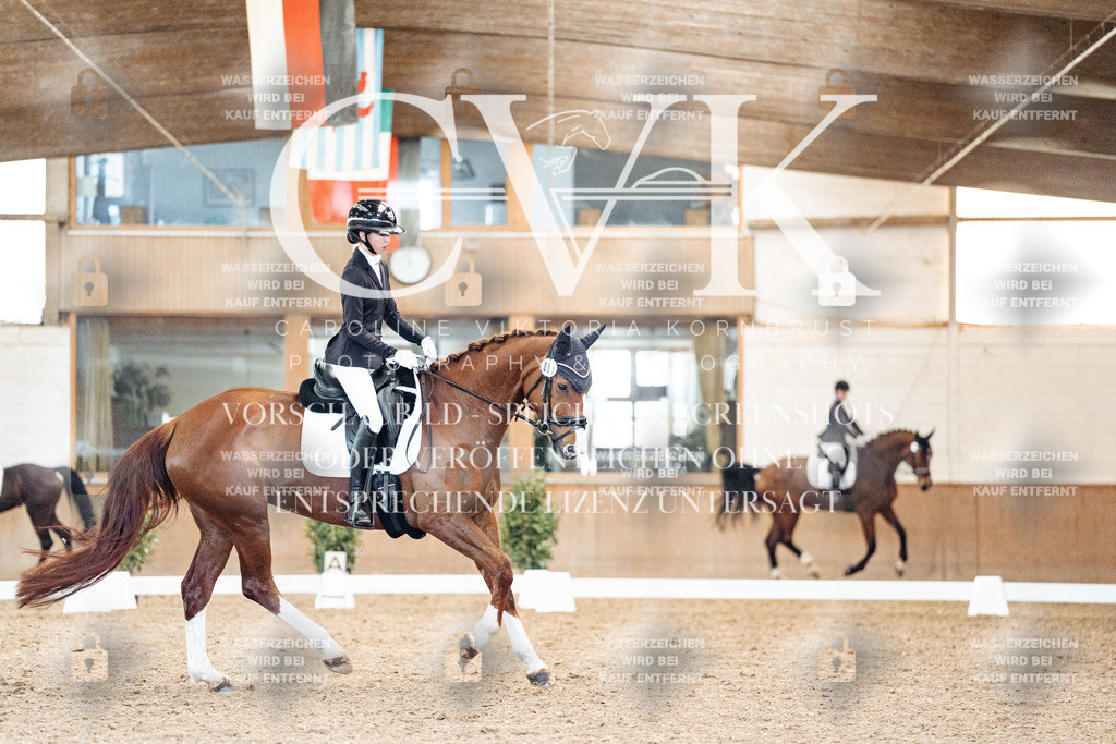 CK909072 | Turnierfotografie Pferdefotografie Trier Rheinland-Pfalz Pferdesport Reitsport Tierfotografie Sportfotografie Pferdevideo Pferdevideografie Equestrianvideography equestrianphotography  - Realisiert mit Pictrs.com