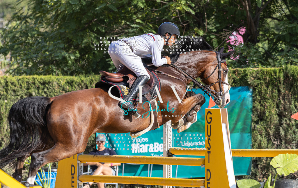 IMG_9241 | s-jay-photography - Realisiert mit Pictrs.com