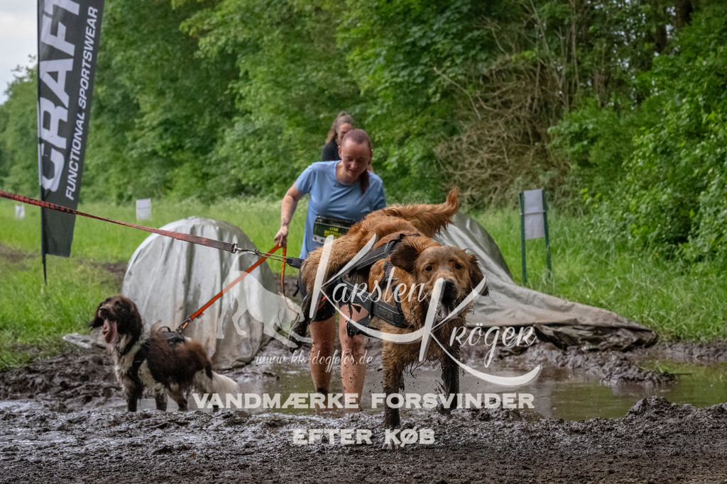 1604_ZZ92151-Bearbeitet | kk-dogfotos