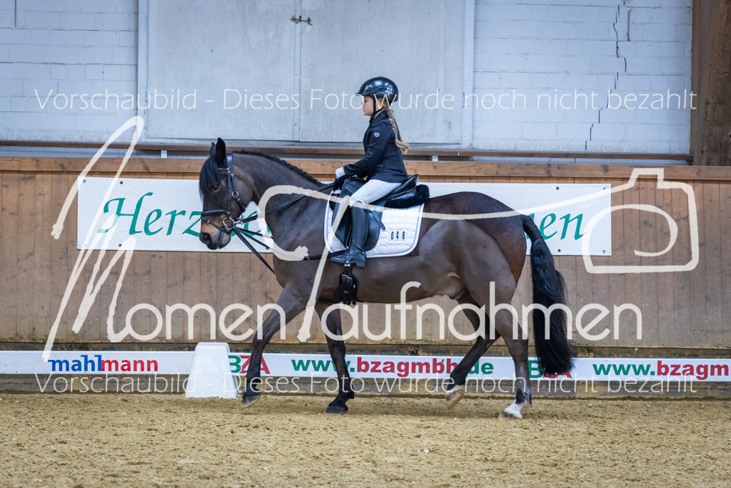 Sth-WBO25-RWBST-013 | MomenTaufnahmen Pferdesportfotos