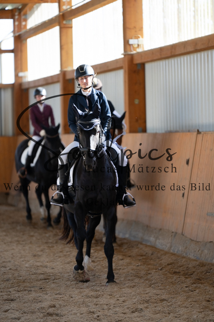 A7V02024 | Pferdefotograf