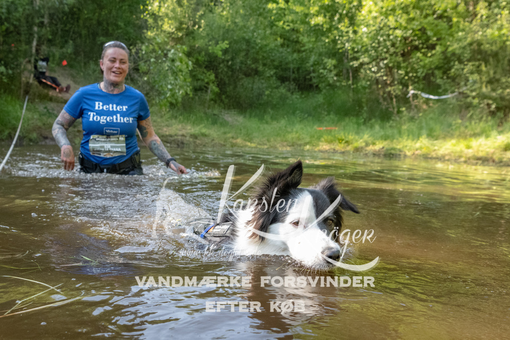 1738DKK992296 | kk-dogfotos