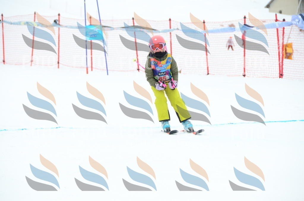 DSC_1138 | holidayphoto