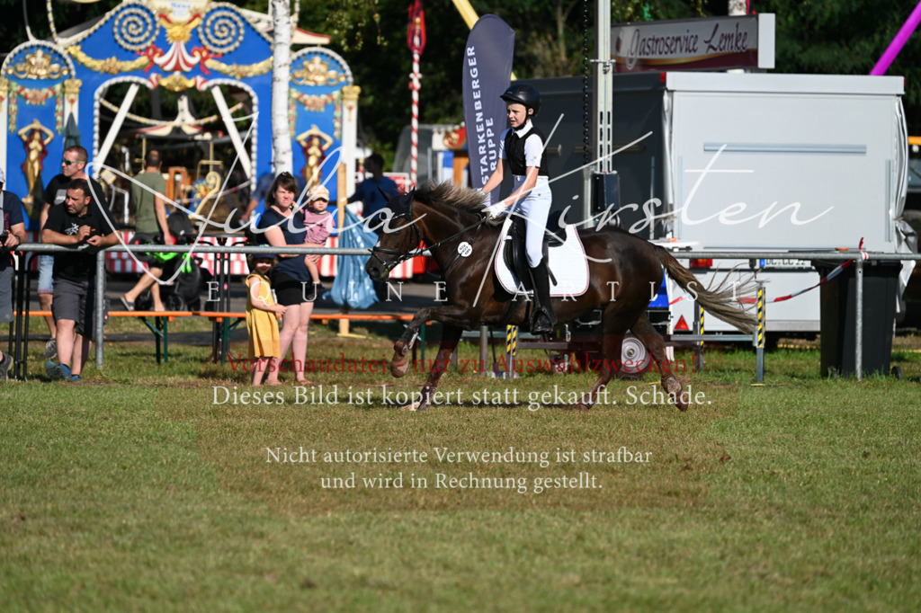 DSC_5022 | Pferde- und Turnierfotografie in Westsachsen. Pferdeportraits, Auftragszeichnungen und intuitive Kunst.