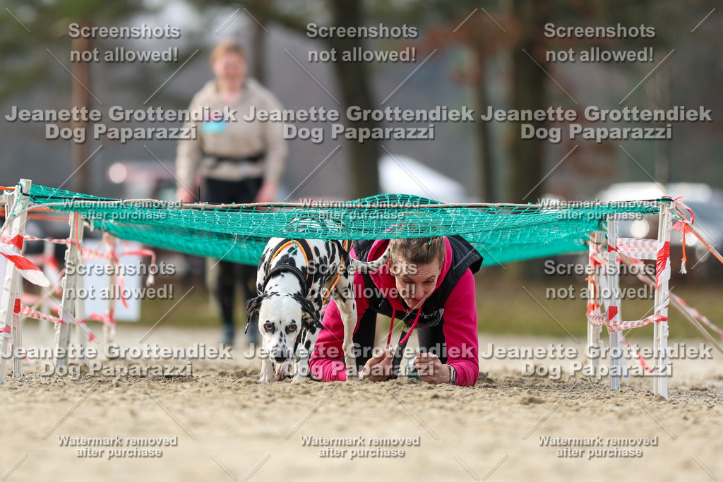 Dog Paparazzi - Strongdog North Mrz26-4825 | Dog Paparazzi Jeanette Grottendiek Fotografie & Videografie - Realisiert mit Pictrs.com