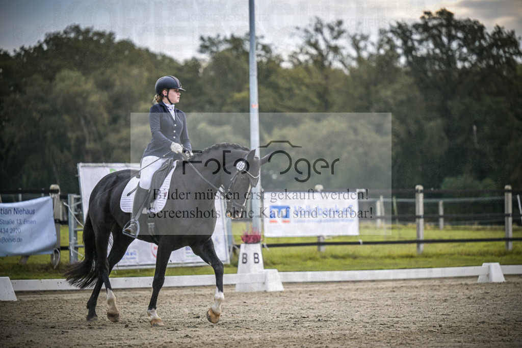 DOS_2592 | Entdecke hochwertige Reitturnierfotos von Foto Oger. Professionell, emotional und authentisch – jetzt Lieblingsmomente im Shop bestellen.Deutschlandweite Turnierfotografie. - Realisiert mit Pictrs.com