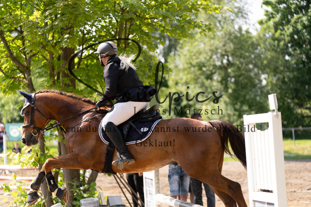 A7507391 | Turnier/Reitfotograf
