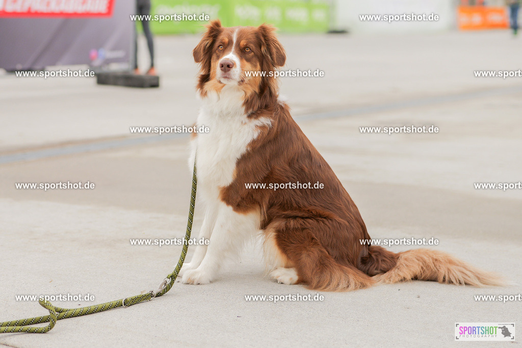 PRAB0352 | GaPa Trail 2025 #gapatrail #yourpictrs #sportshot_your_pictrs Copyright: www.sportshot.de