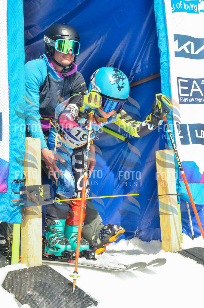 _ELE6796 | holidayphoto