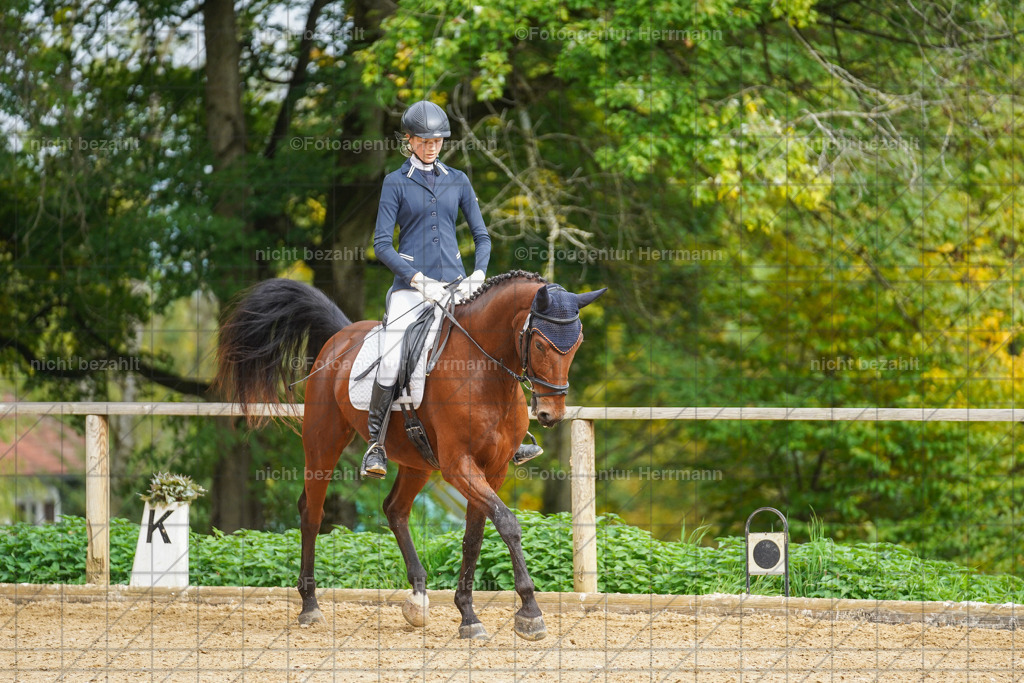 20221007-FAH09876 | Diessen am Ammersee, 2022, Dressur- und Springturnier, Reitsportbilder, Turnierfotografen Bayern, Pferdefotografen, Fotoagentur Herrmann, Turnierbilder