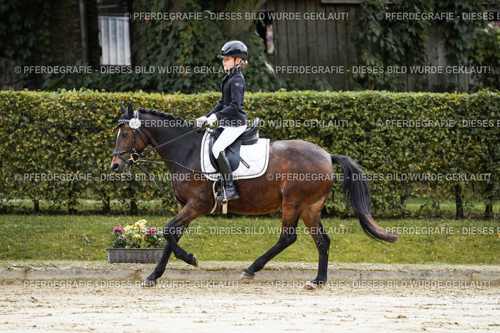 DSC05540 | Pferdegrafie