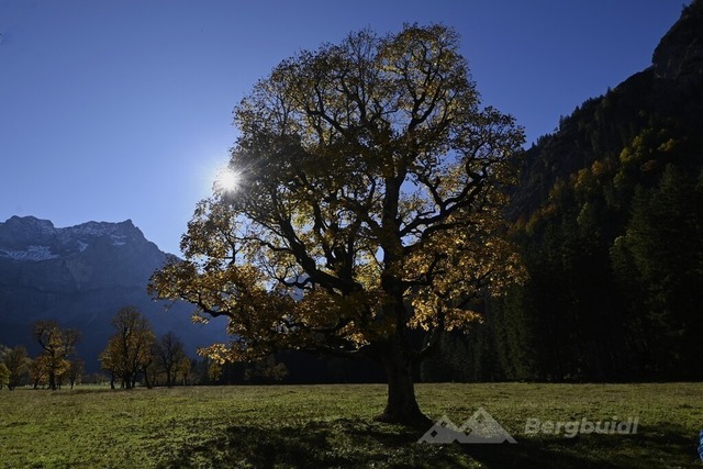 Ahornboden 2025-02 | Landschaftsfotografie Berge Mountain Landscape FotografieNatur Bilder Buidl Bergbuidl Bayern Heimat BergfotografieSonnenaufgang Sonnenuntergang Hobbyfotograf Bilderverkauf Leinwand - Realisiert mit Pictrs.com