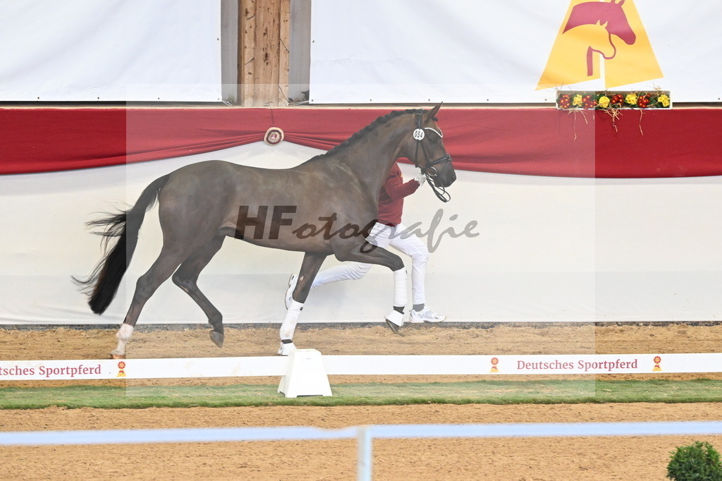 Kat.-Nr. 54 v. Feliciano_Rupp_3260562 | hf-fotografie - Realisiert mit Pictrs.com