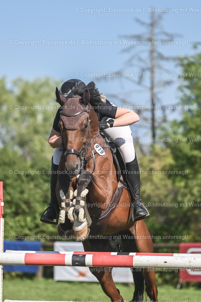 20230908_24_Springen_M_0032 | equistock