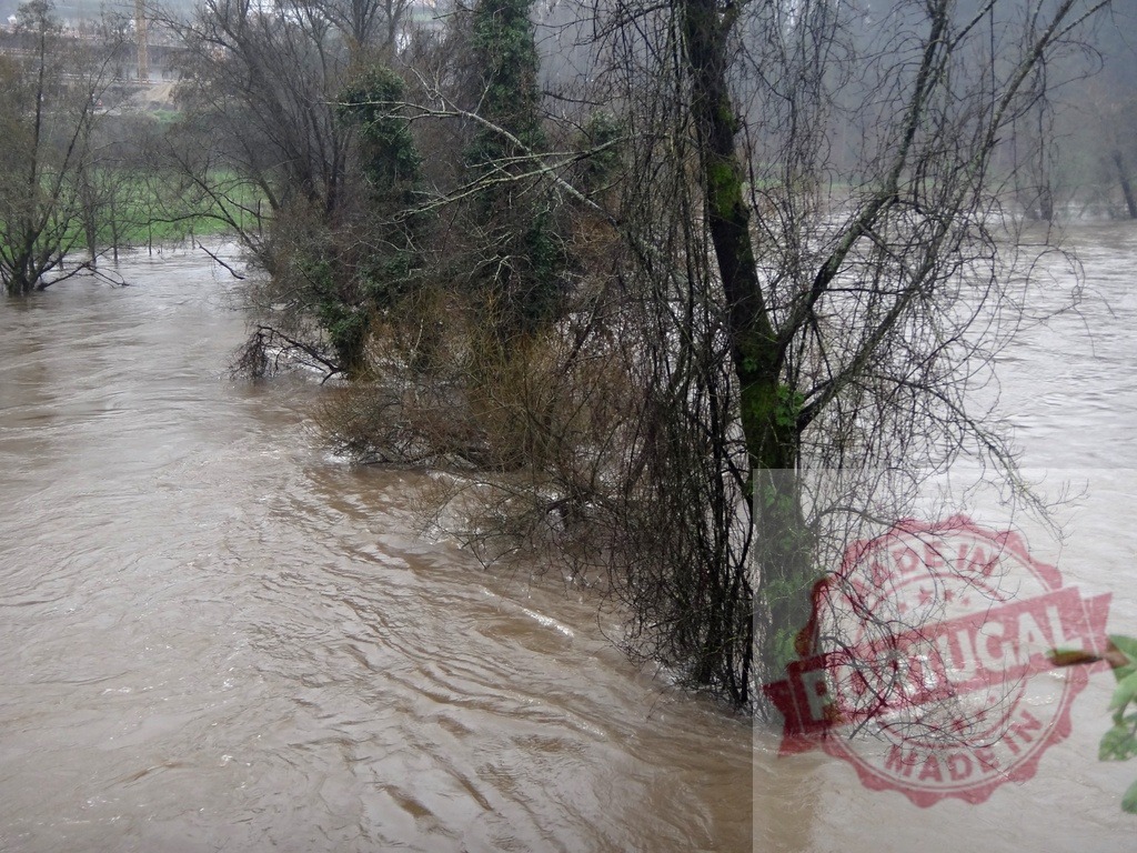 River overflowing banks during winter flood. Portugal floods 02.26 - Paco de Sousa, Penafiel | Muddy river water submerging trees and land after heavy rain - Realized with Pictrs.com
