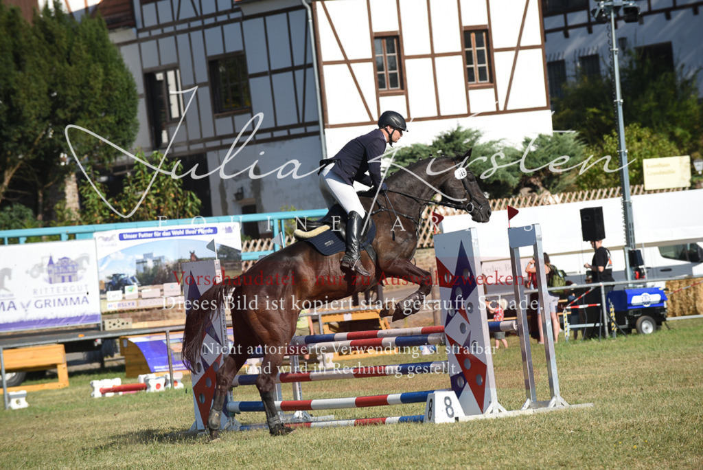 DSC_5347 | Pferde- und Turnierfotografie in Westsachsen. Pferdeportraits, Auftragszeichnungen und intuitive Kunst.