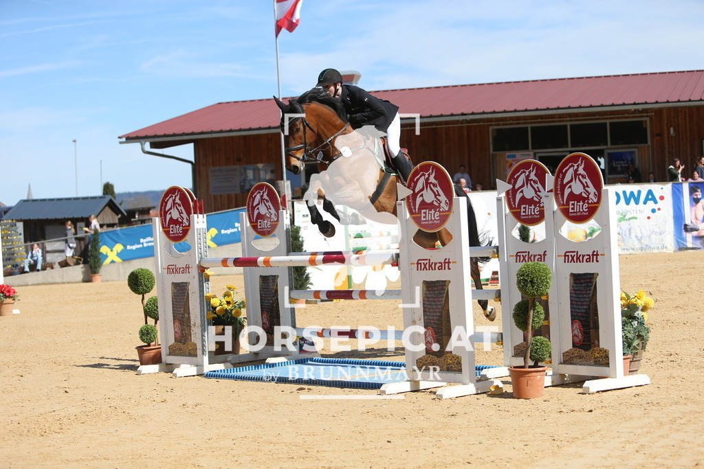 DL2Q5016 | Willkommen bei Brunnmayr - Design & Fotografie – Ihrem Spezialisten für Reitturniere und Pferdeveranstaltungen in Oberösterreich, Salzburg und Bayern! Seit über 17 Jahren sind wir leidenschaftlich dabei.