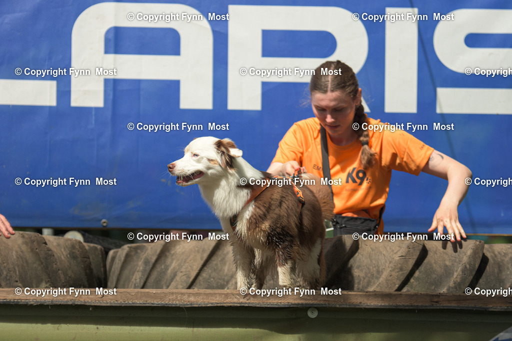 DSC_0582 | Hallo und herzlich Willkommen auf meiner Shop-Seite Fynn Most.

Ich wünsche Dir viel Spaß beim stöbern durch die Bilder, wenn Du Fragen hast oder Bilder vermisst, kannst du mir gerne eine Nachricht schreiben. - Realisiert mit Pictrs.com