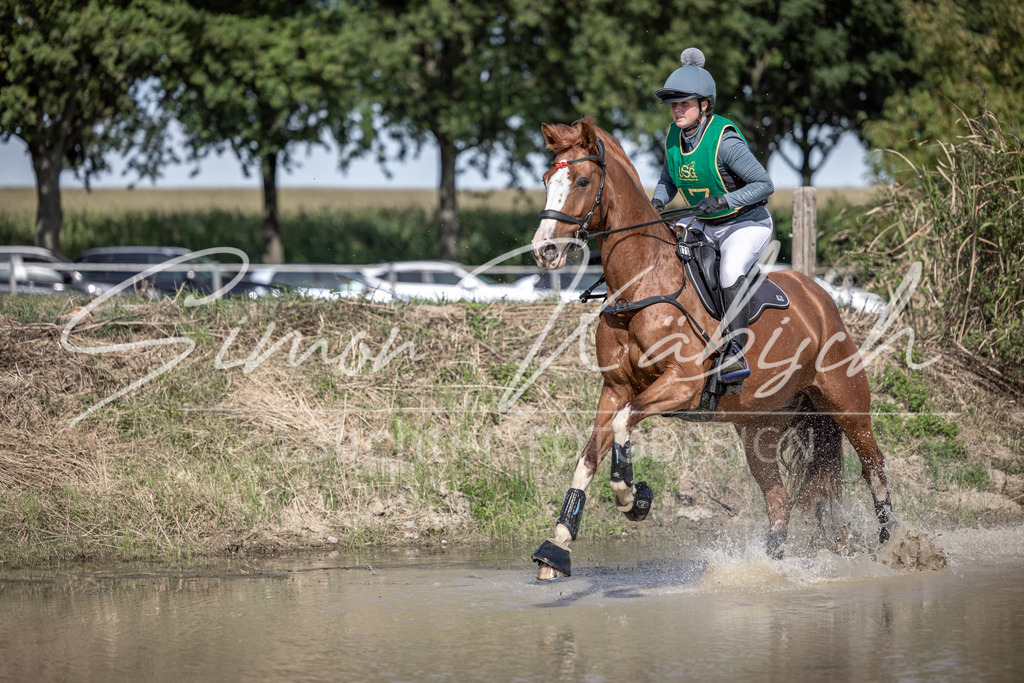 20250907-_3LI1852 | Tierfotografie Pferde, Hunde, Katzen, Haustiere.
Turnierfotografie Reitturniere, Reiten, Springreiten, Dressur in Hanau, dem Main-Kinzig-Kreis und dem Rhein-Main- Gebiet um Frankfurt