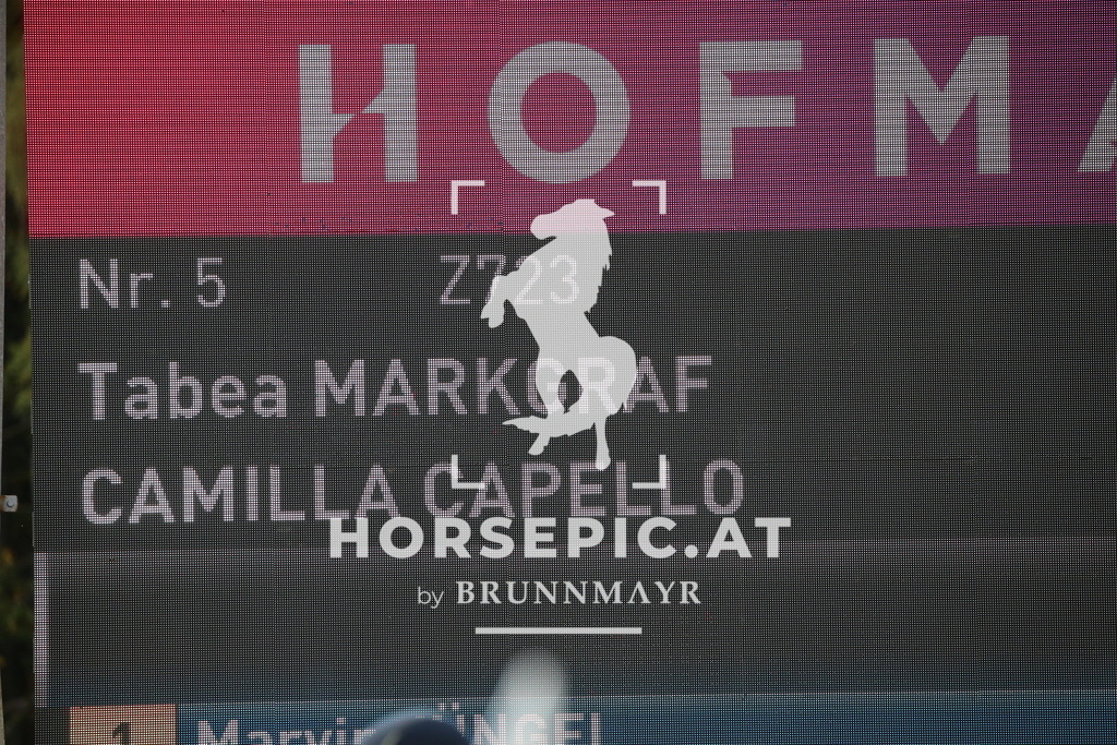 DL2Q5807 | Willkommen bei Brunnmayr - Design & Fotografie – Ihrem Spezialisten für Reitturniere und Pferdeveranstaltungen in Oberösterreich, Salzburg und Bayern! Seit über 17 Jahren sind wir leidenschaftlich dabei.