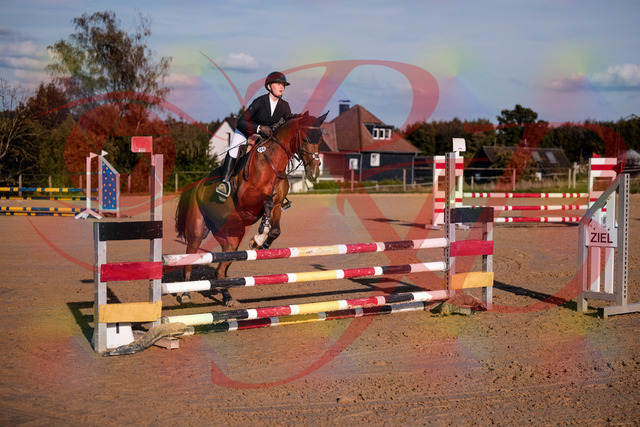 2026_10_03_Siefer-Hof_170837_Z81_04987637 | Professionelle Reitsport-, Turnier- und Eventfotografie von Robert Broda. Galerien mit ausgewählten und bearbeiteten Bildern direkt online ansehen und bestellen.