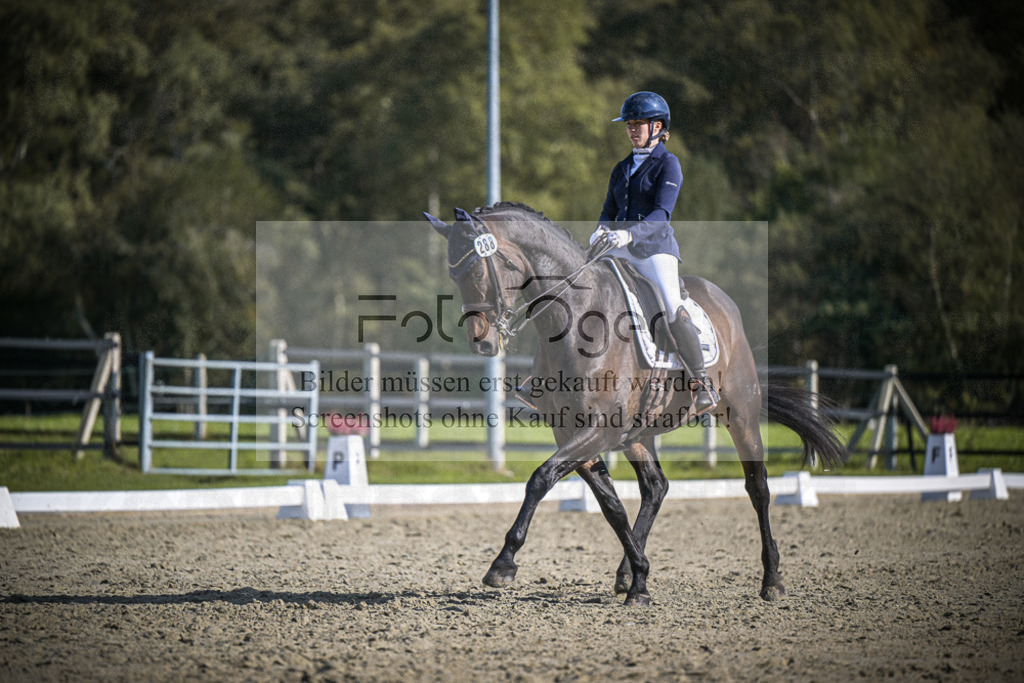DOS_2646 | Entdecke hochwertige Reitturnierfotos von Foto Oger. Professionell, emotional und authentisch – jetzt Lieblingsmomente im Shop bestellen.Deutschlandweite Turnierfotografie. - Realisiert mit Pictrs.com