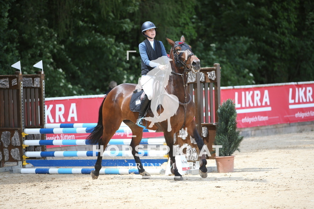 PP019193 | Willkommen bei Brunnmayr - Design & Fotografie – Ihrem Spezialisten für Reitturniere und Pferdeveranstaltungen in Oberösterreich, Salzburg und Bayern! Seit über 17 Jahren sind wir leidenschaftlich dabei.