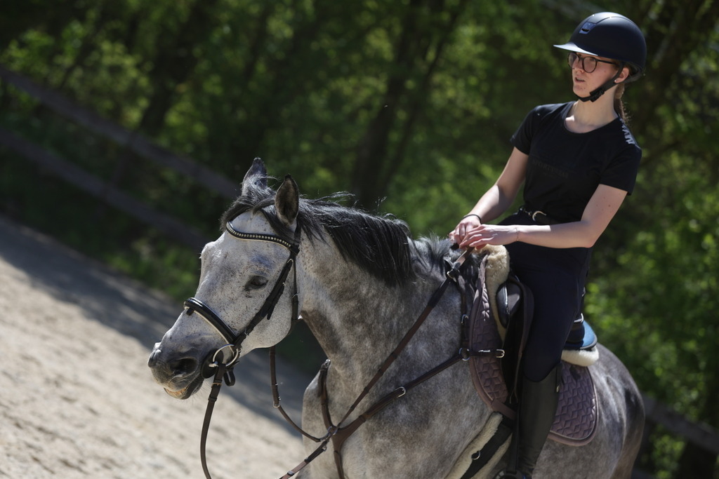 0P6A8842 | Willkommen bei Brunnmayr - Design & Fotografie – Ihrem Spezialisten für Reitturniere und Pferdeveranstaltungen in Oberösterreich, Salzburg und Bayern! Seit über 17 Jahren sind wir leidenschaftlich dabei.