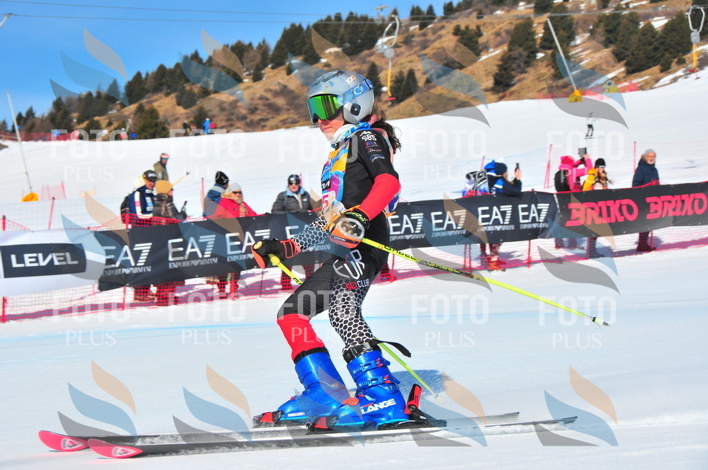 DSC_4067 | holidayphoto