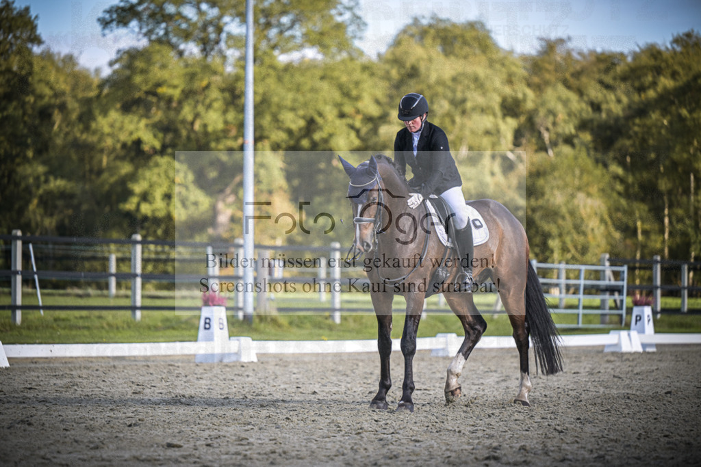 DOS_4854 | Entdecke hochwertige Reitturnierfotos von Foto Oger. Professionell, emotional und authentisch – jetzt Lieblingsmomente im Shop bestellen.Deutschlandweite Turnierfotografie. - Realisiert mit Pictrs.com