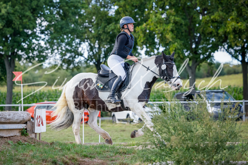 20250905-_3LI2178 | Tierfotografie Pferde, Hunde, Katzen, Haustiere.
Turnierfotografie Reitturniere, Reiten, Springreiten, Dressur in Hanau, dem Main-Kinzig-Kreis und dem Rhein-Main- Gebiet um Frankfurt