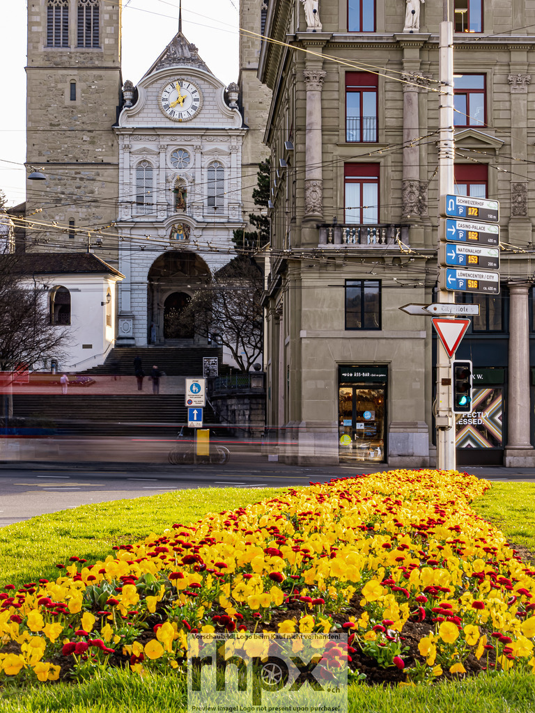 Erste Fruehlingsboten in Luzern 2026 | Stimmungsvolle Fotokunst aus Luzern. Erlebe den Pilatus, den See und die Stadt Luzern in exklusiven Aufnahmen in der Fotogalerie & Shop. - Realisiert mit Pictrs.com