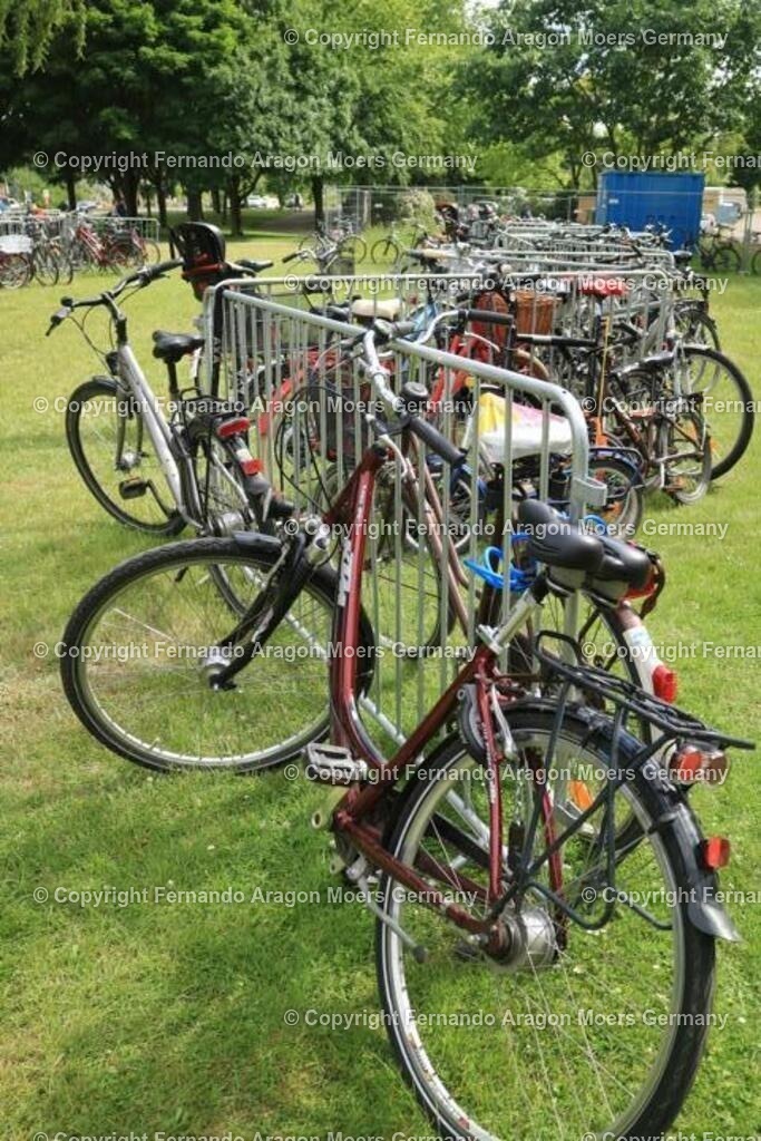 IMG_5110 | aragon-pics - Realisiert mit Pictrs.com