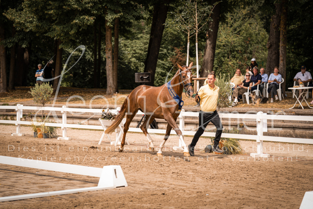 3.Fr00255 | Leoni Ertmer Photography - Realisiert mit Pictrs.com