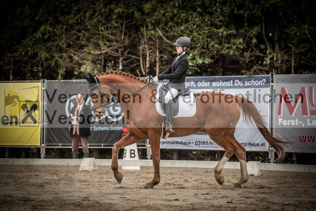 DSC_0162 | equestrian-live-com