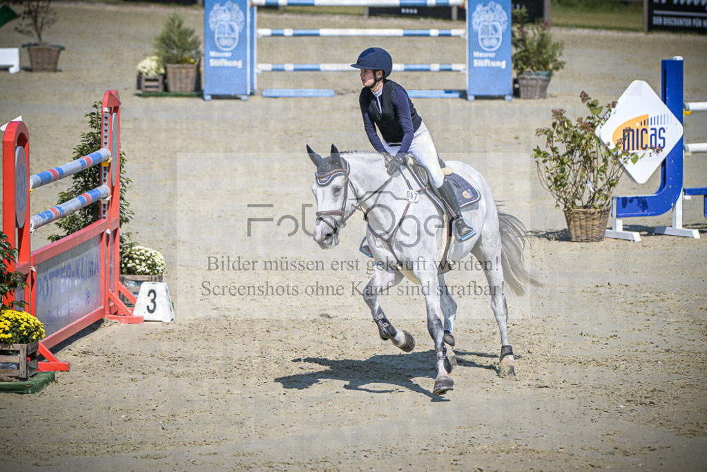 DOS_0569 | Entdecke hochwertige Reitturnierfotos von Foto Oger. Professionell, emotional und authentisch – jetzt Lieblingsmomente im Shop bestellen.Deutschlandweite Turnierfotografie. - Realisiert mit Pictrs.com