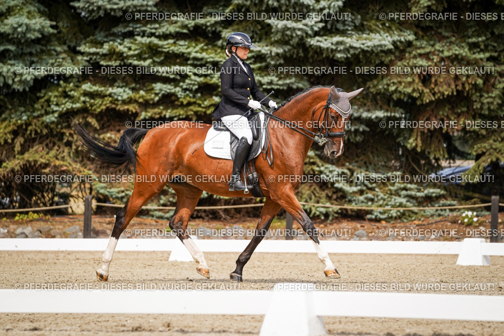 DSC05321 | Pferdegrafie