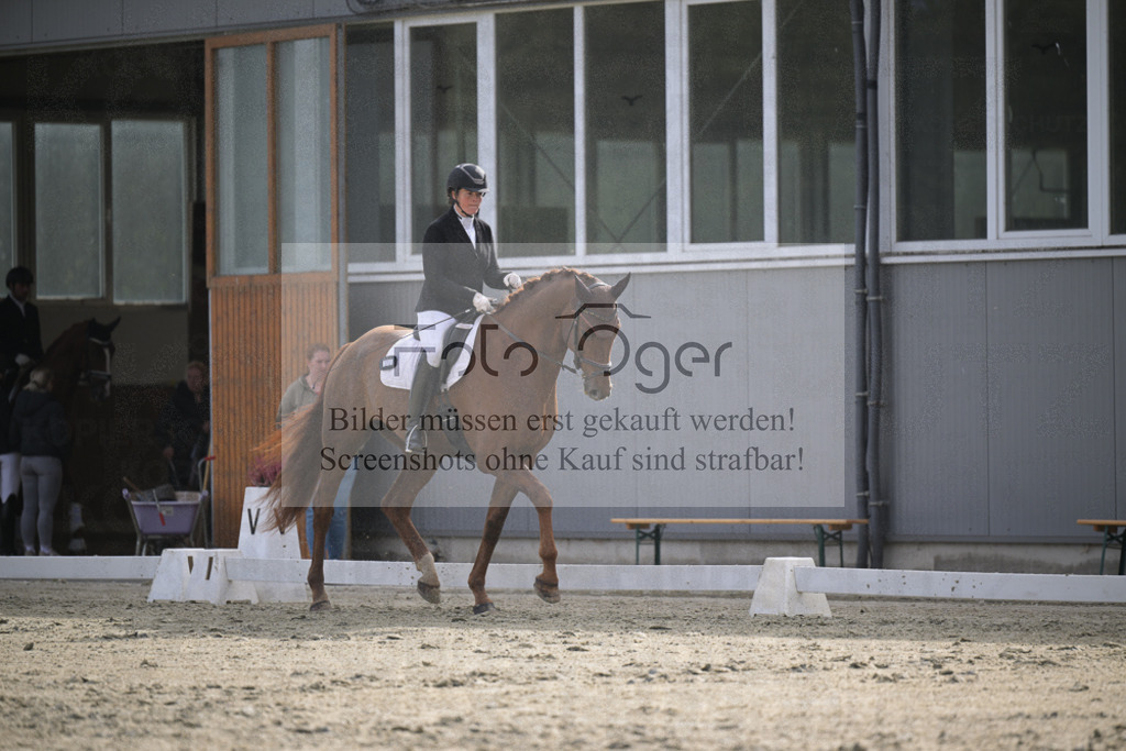 DOS_2445 | Entdecke hochwertige Reitturnierfotos von Foto Oger. Professionell, emotional und authentisch – jetzt Lieblingsmomente im Shop bestellen.Deutschlandweite Turnierfotografie. - Realisiert mit Pictrs.com