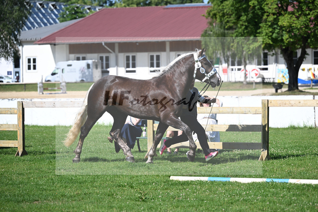 Kat-Nr. 8 Franzi v. Variano_Walter_18250119 | hf-fotografie - Realizzato con Pictrs.com