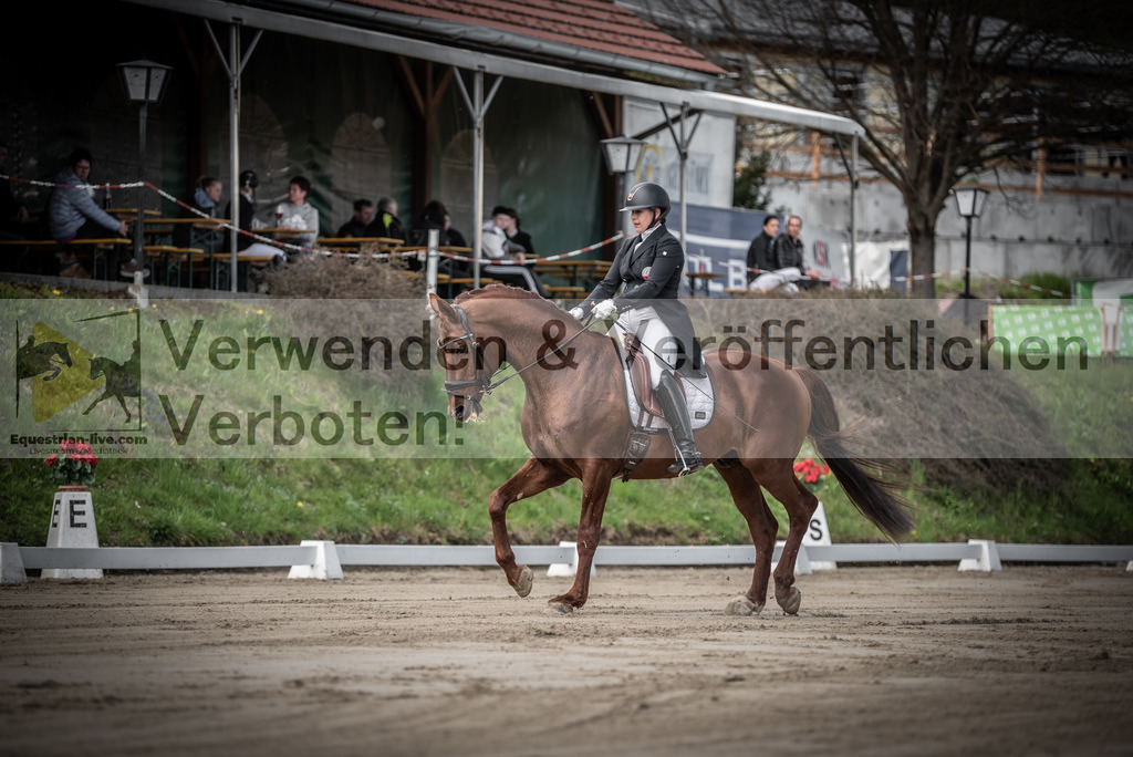 DSC_1509 | equestrian-live-com
