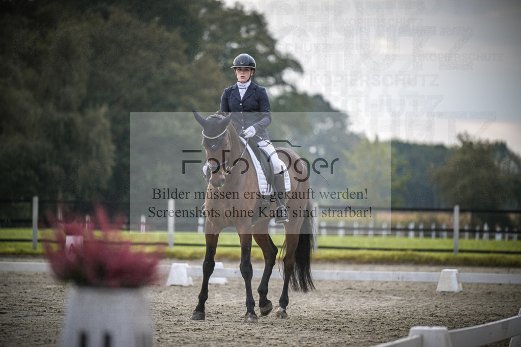 DOS_1531 | Entdecke hochwertige Reitturnierfotos von Foto Oger. Professionell, emotional und authentisch – jetzt Lieblingsmomente im Shop bestellen.Deutschlandweite Turnierfotografie. - Realisiert mit Pictrs.com