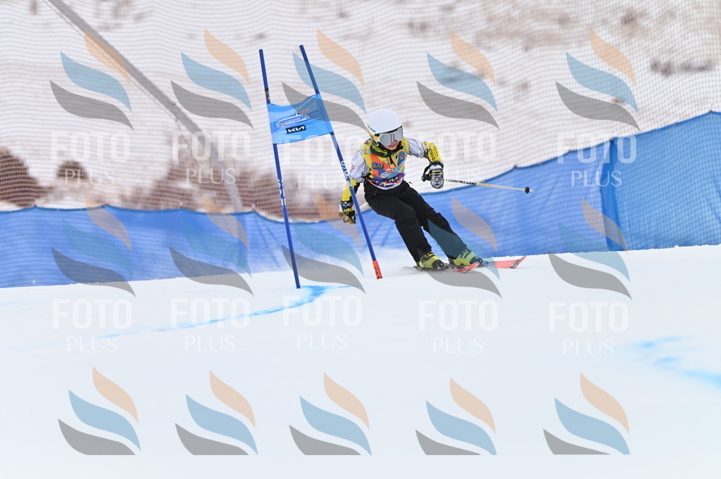 BGV_3019 | holidayphoto