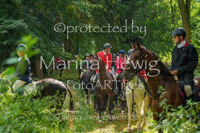 Jagd Perdoel_MarinaHewigMCH05030 | Fotografie, FotoArt, PferdesportArt, Pferdesportfotografie, Landschaftsfotografie, Reisefotografie, Reise, Pferde - Realisiert mit Pictrs.com