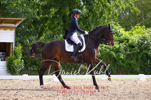 DKP41471 | Turnierfotos kaufen im Webshop von Daniel Kuhl Photography – entdecke professionelle Reitsportfotos aus Turnieren & Events. Hochwertige Turnierbilder online bestellen & sichern. Jetzt Fotos von Reitsportturnieren kaufen!