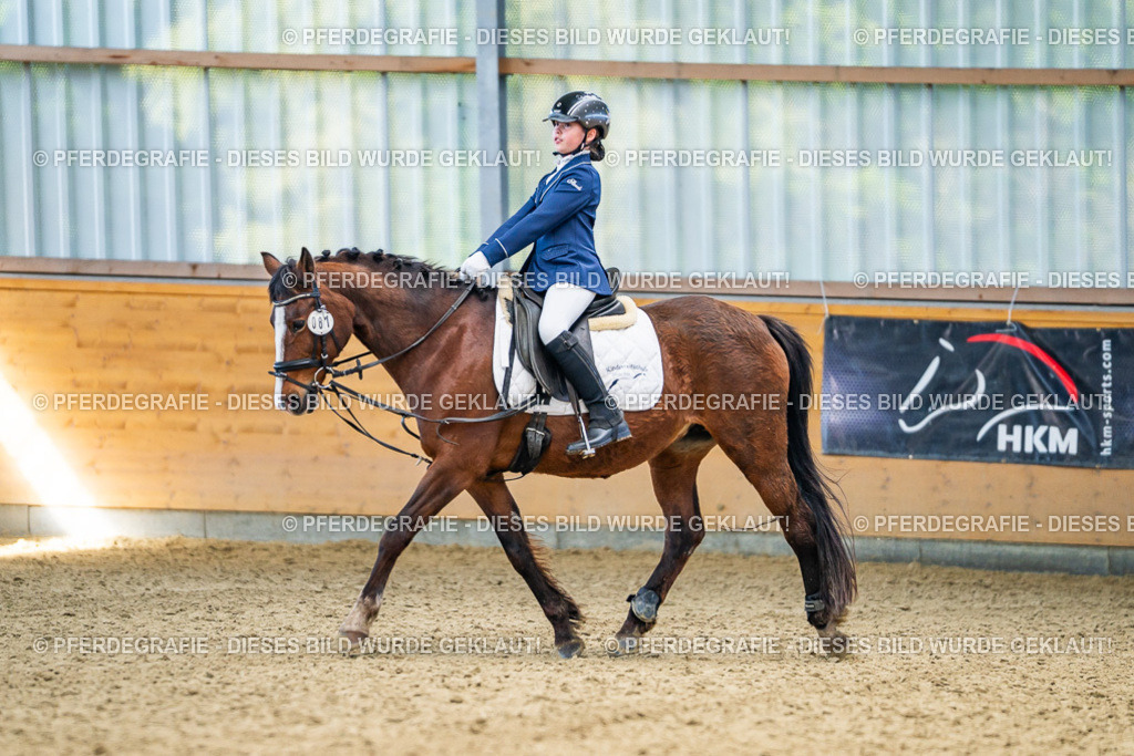 DSC02534 | Pferdegrafie