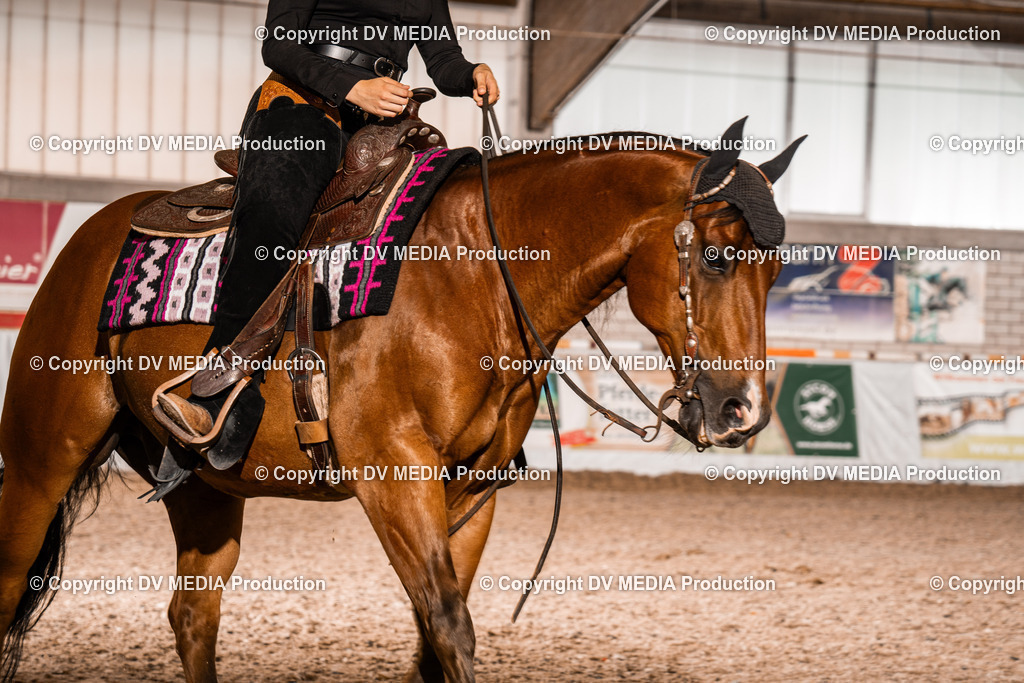 ZH200691 | dv-media-shop - Realisiert mit Pictrs.com